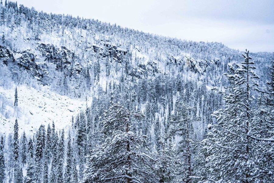 Rovaniemi: Frozen Waterfalls of Korouoma Canyon & Pro Photos - Who should book Korouoma and who should skip it