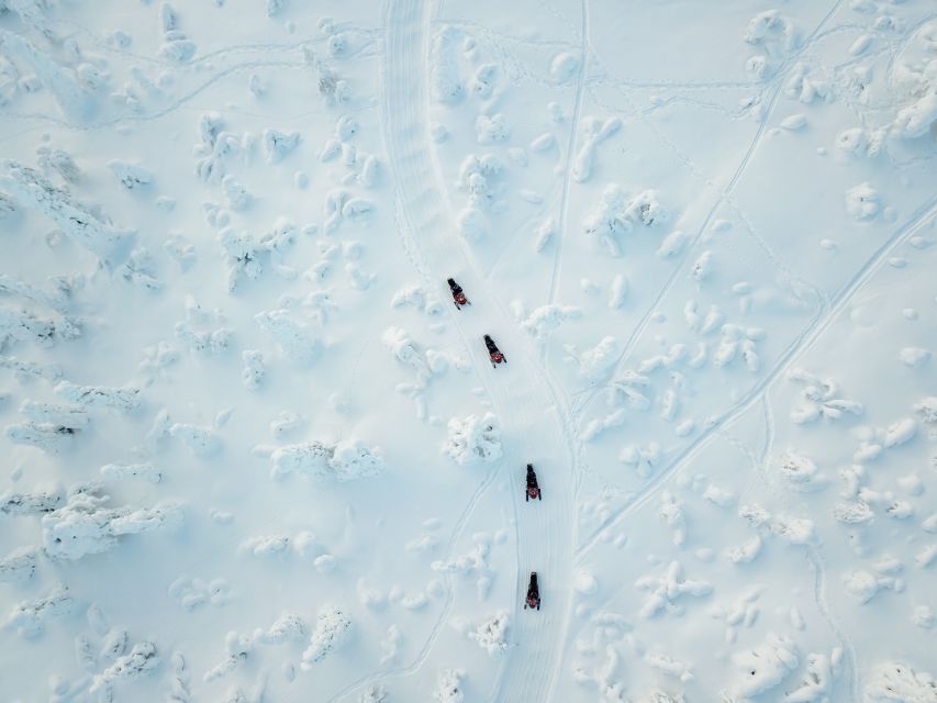 Rovaniemi: Full-Day Snowmobile Safari into the Wilderness - Where the Day Starts: Meeting Point, Timing, and Transfers