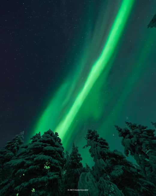 Rovaniemi: Genuine Aurora Hunting with Unlimited Pro Photos - Food, comfort, and the little things that keep you going