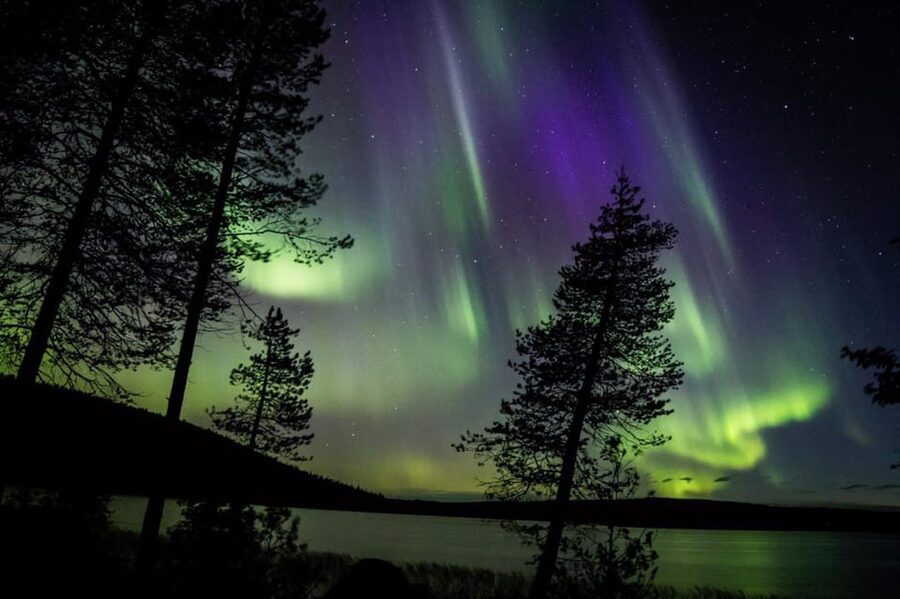 Rovaniemi: Guaranteed Aurora Hunting Tour with Local Guide - Comfort in the Van: Hand Warmers, Charging, and 5G WiFi