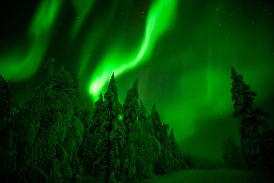 Rovaniemi: Guaranteed Northern Lights Hunting Adventure - Who This Tour Fits Best (and Who Should Skip It)