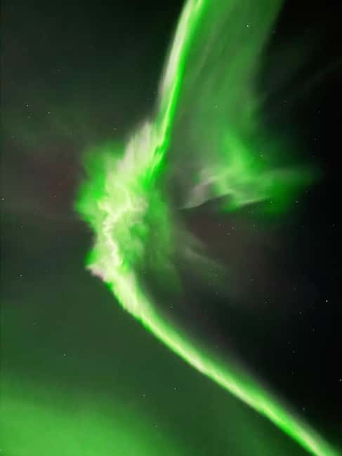 Rovaniemi: Guaranteed Northern Lights & Photography Tour - Price and value: is $140 fair for an aurora guarantee?