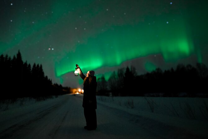 Rovaniemi: Guaranteed Northern Lights - Small Group & Photography - Small Group Chasing: Why “Max 8” Is a Big Deal
