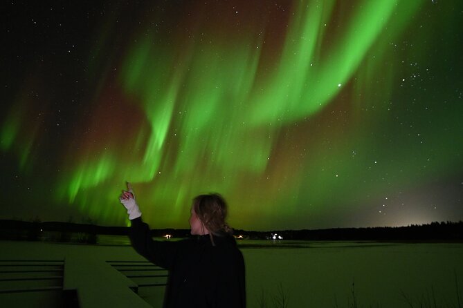 Rovaniemi: Guaranteed Northern Lights - Small Group & Photography - The Rovaniemi Start: First Stop in the Dark
