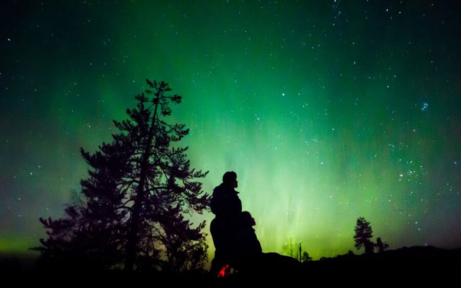 Rovaniemi: Guided Northern Lights Tour - What this Northern Lights tour really feels like (2 hours, built for darkness)