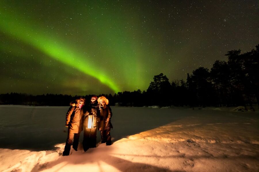 Rovaniemi: Guided Northern Lights Tour - What “learning about the Polar Lights” means in practice