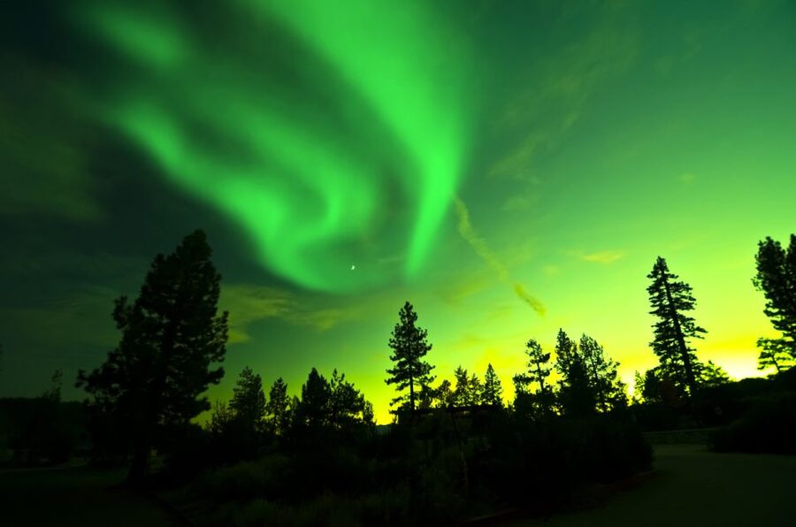 Rovaniemi: Guided Northern Lights Tour - Price and value: is $84 a good deal?