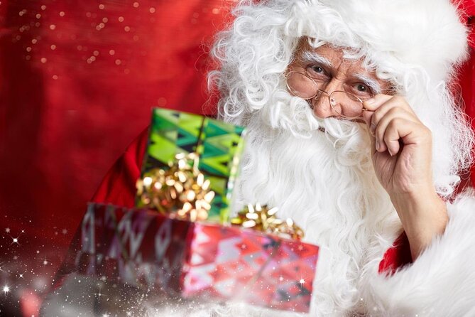 Rovaniemi Guided Tour and Santa Claus Village - Santa Claus Village: meeting Santa and mailing a postcard