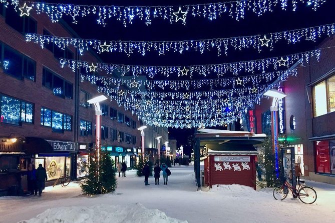 Rovaniemi Guided Tour and Santa Claus Village - Who should book this guided mix of Santa and Lapland