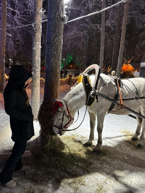 Rovaniemi: Guided Tour of Santa Claus Village - Santa Claus Village orientation, then quick photo stops
