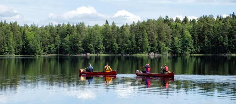 Rovaniemi: Guided Wilderness Kayaking Adventure - Rovaniemi Wilderness Kayaking: What the 3 Hours Really Feels Like