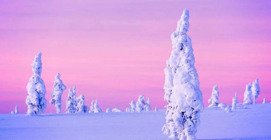 Rovaniemi: Half-Day Snowmobile & Ice Fishing Experience - Price and Value: is $258 worth it for this much included time?