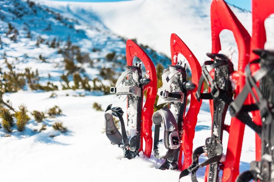 Rovaniemi: Hiking and Snowshoeing Adventure in Lapland - Key highlights you’ll care about