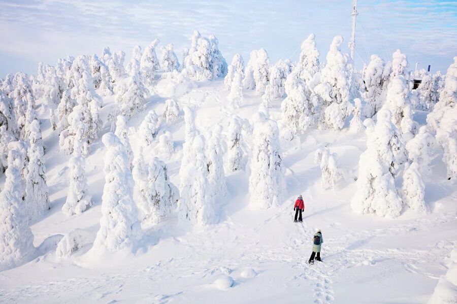 Rovaniemi: Hiking and Snowshoeing Adventure in Lapland - The Arctic Circle feels close in Rovaniemi
