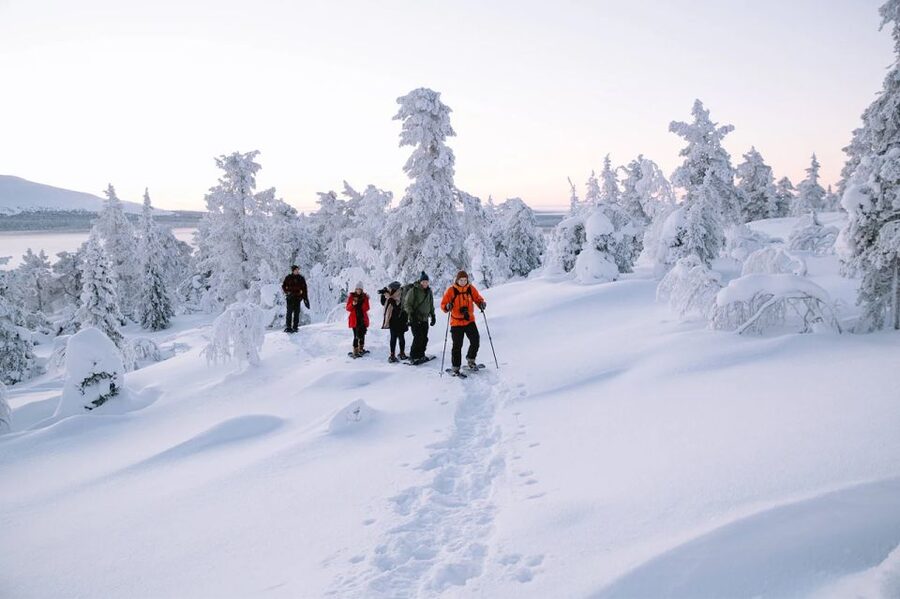 Rovaniemi: Hiking and Snowshoeing Adventure in Lapland - What you’ll actually see: lake ice, tree talk, and a lookout moment