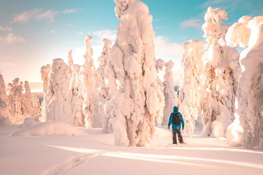 Rovaniemi: Hiking and Snowshoeing Adventure in Lapland - Who this is perfect for (and who should reconsider)