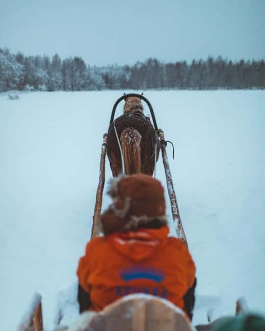 Rovaniemi: Horse Sleigh Ride under the Night Sky - Bonfire break: hot drinks, sausages, and stories in the snow