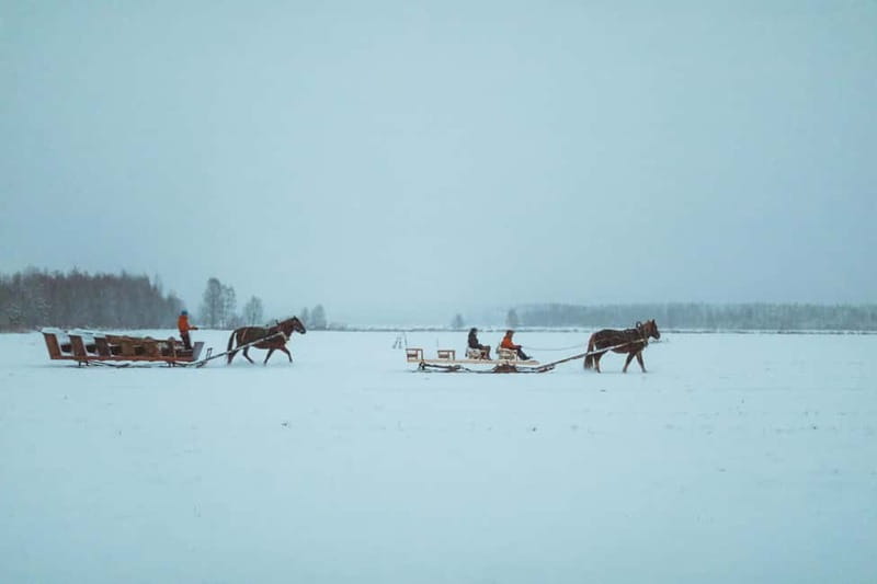 Rovaniemi: Horse Sleigh Ride under the Night Sky - What’s included (and why it changes the value)
