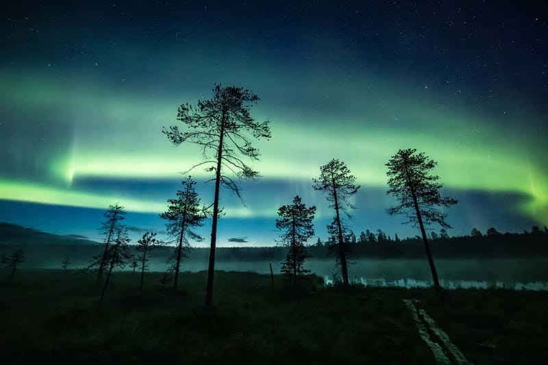 Rovaniemi: Horse Sleigh Ride under the Night Sky - Getting there: pickup timing from Rovaniemi city or Santa Claus Village
