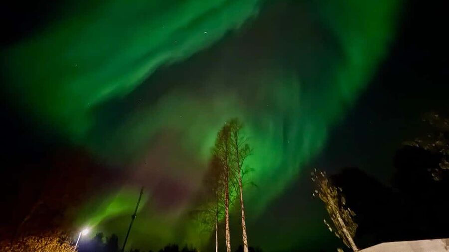 Rovaniemi: hunting for the Northern Lights with BBQ - Value for $66: Why the Price Works for Many People
