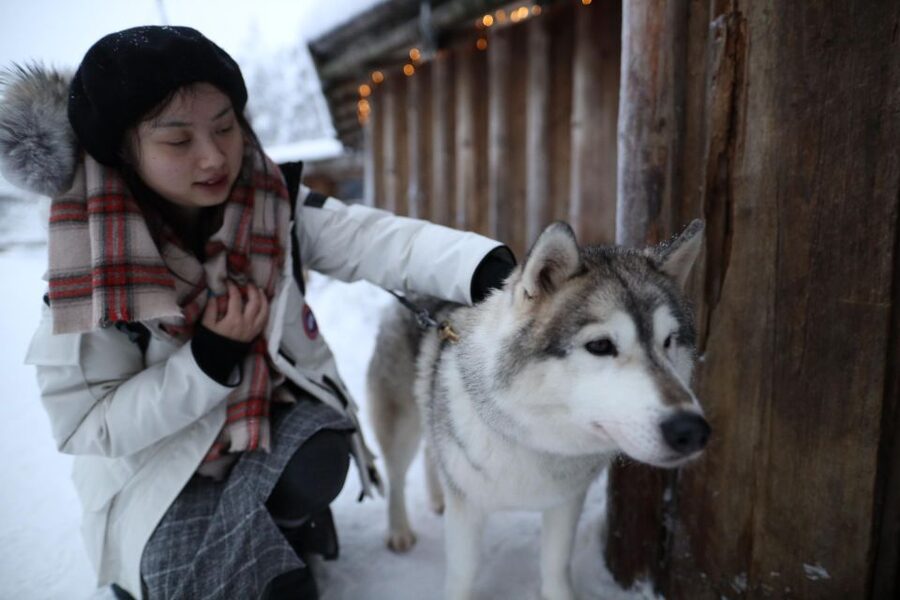 Rovaniemi: Husky and reindeer farm visit with sleigh rides - Hot drinks, snacks, and the flow that keeps families happy