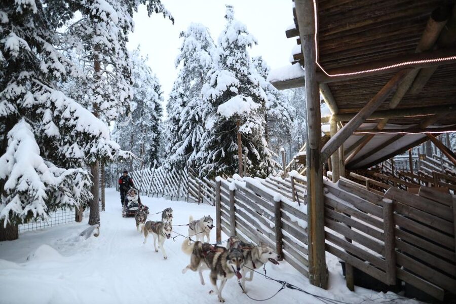 Rovaniemi: Husky and reindeer farm visit with sleigh rides - Hotel pickup, timing, and how to dress so you’re comfortable