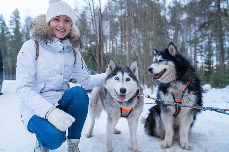Rovaniemi: Husky Farm and Reindeer Experience - Key highlights worth planning around