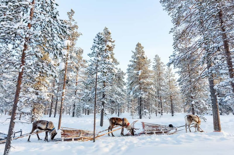 Rovaniemi: Husky Farm and Reindeer Experience - Santa Claus Village: the bonus zone, but don’t let it steal your focus