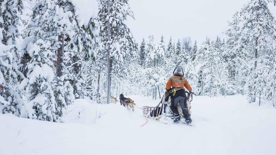 Rovaniemi: Husky Farm Visit with a Sledge Ride - Talking Mushing With the Mushers: What You’ll Actually Learn