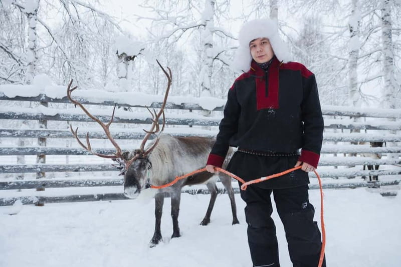 Rovaniemi: Husky & Reindeer Experience with Snowmobile Ride - Quick Key Points Before You Go