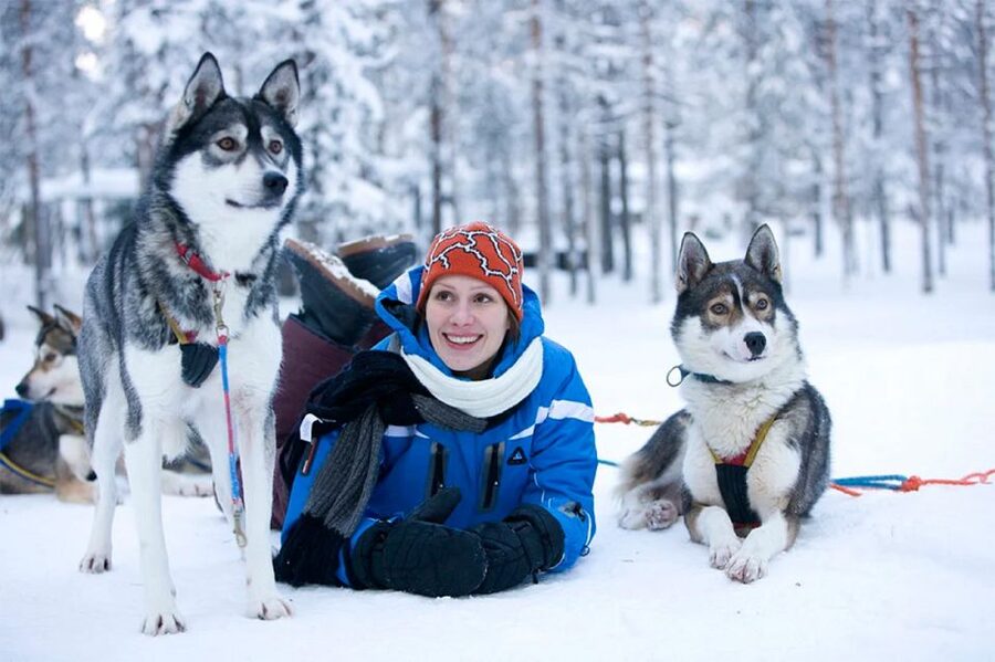 Rovaniemi: Husky Safari on a Snowy Trail - Warm-up stop: hot blueberry juice and Finnish gingerbread