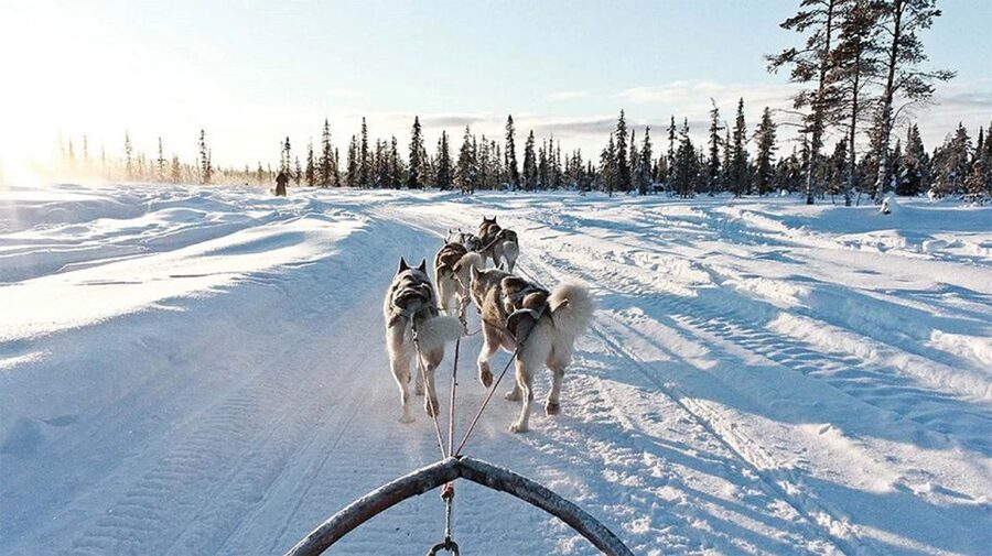 Rovaniemi: Husky Safari on a Snowy Trail - Clothes and cold-hand reality: what to wear for comfort