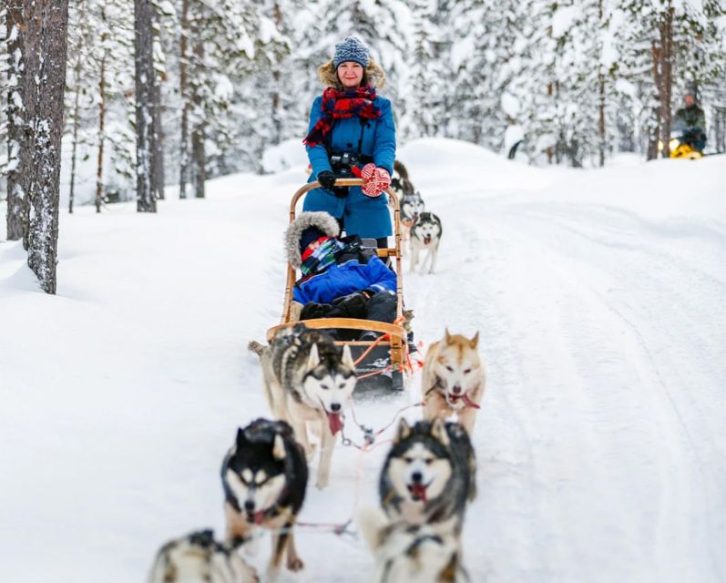 Rovaniemi: Husky Safari on a Snowy Trail - Price and time value: is $269 fair for what you get?