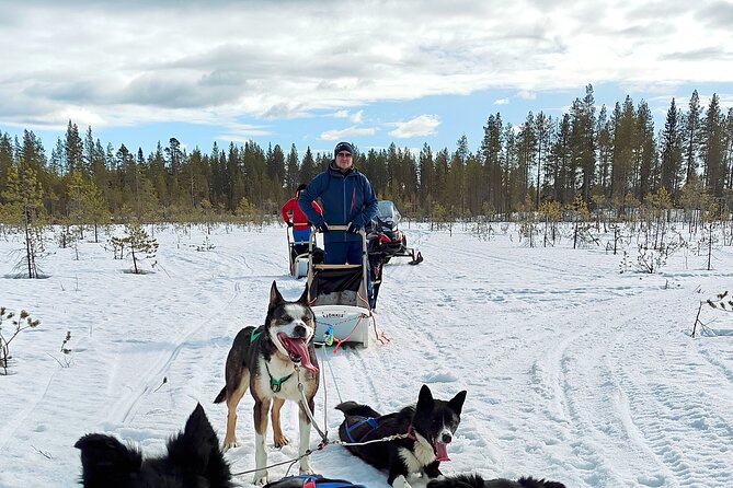 Rovaniemi Husky Safari - Self Drive Adventure 6-10km + BBQ - Key Highlights You’ll Actually Feel