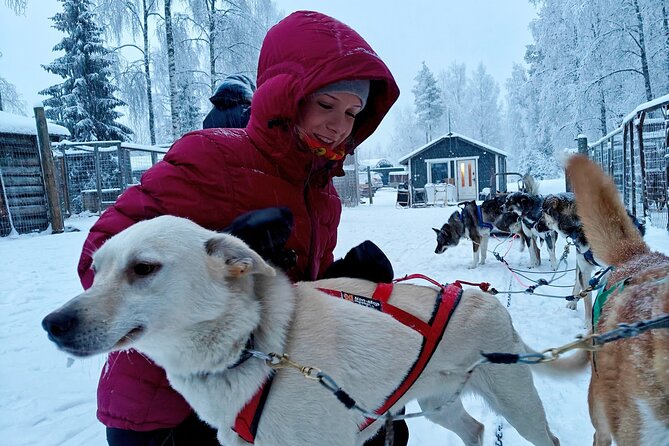 Rovaniemi Husky Safari - Self Drive Adventure 6-10km + BBQ - Quick Booking Advice: How to Make This Day Go Smoothly