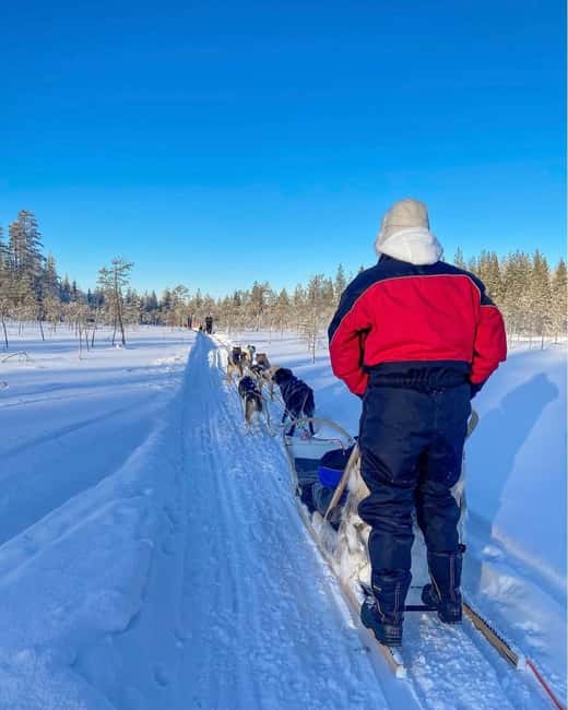 Rovaniemi: Husky Safari with Transfers & BBQ - Rovaniemi or Napapiiri Pickup: The Part People Underestimate