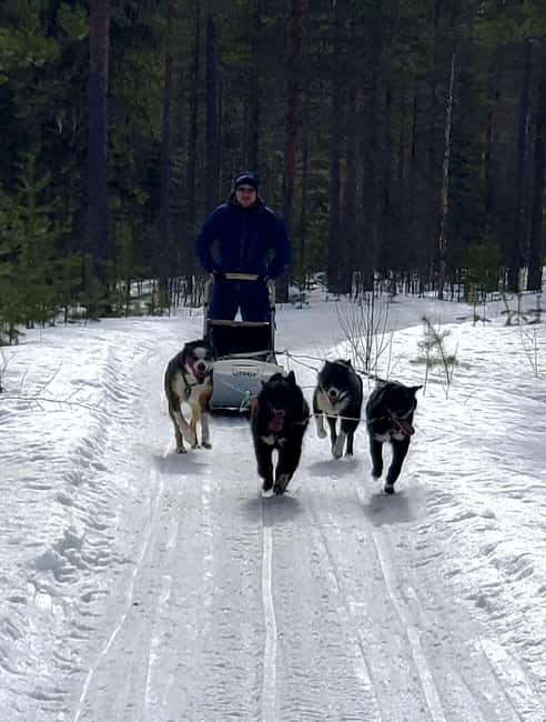 Rovaniemi: Husky Safari with Transfers & BBQ - Warm Gear and Sled Rules: How the Day Starts Right