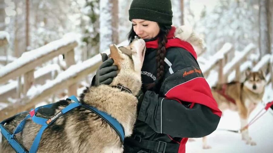 Rovaniemi: Husky Sled Ride and Farm Visit - The Sled Ride: Short, Fun, and Carefully Guided