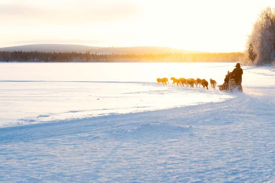 Rovaniemi: Insider 10 km Husky Sled Ride - Warm Pickup and Thermal Clothes: Your Arctic Day Starts Easy