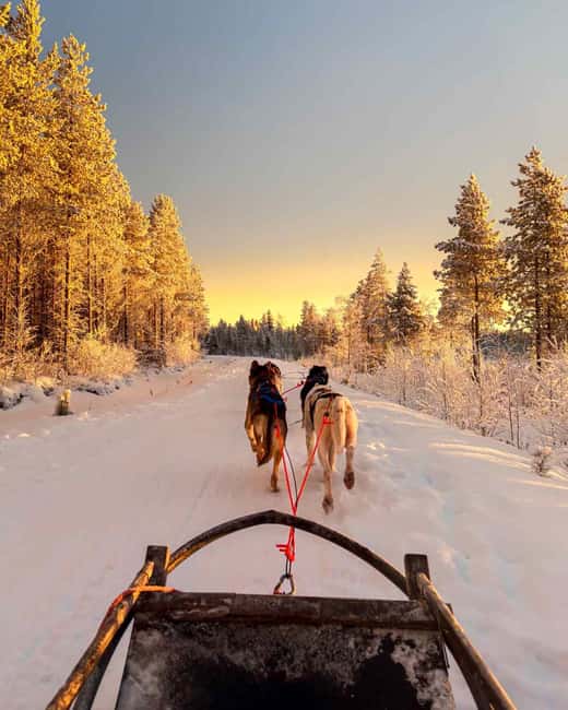 Rovaniemi: Insider 10 km Husky Sled Ride - FAQ
