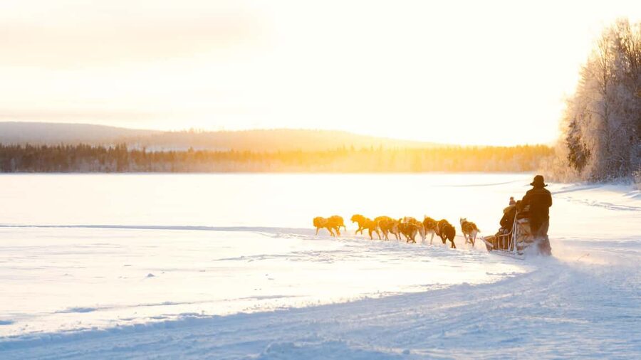 Rovaniemi: Insider 5km Husky Self Drive Tour - Key things that make this husky tour work