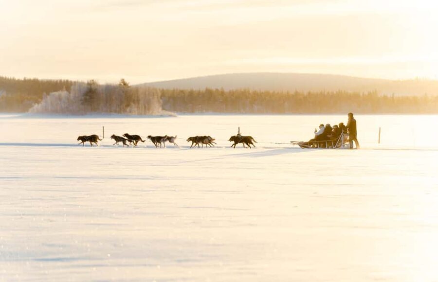 Rovaniemi: Insider 5km Husky Self Drive Tour - FAQ
