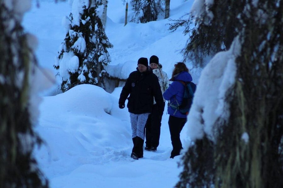 Rovaniemi: Korouoma Canyon Frozen Waterfalls Guided Hike - Price and What You Get for $116 Per Person