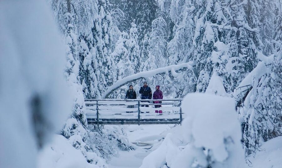 Rovaniemi: Korouoma Canyon Frozen Waterfalls Guided Hike - Who This Tour Suits Best (and Who Might Want to Adjust Plans)