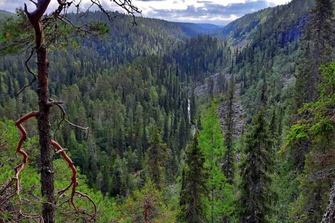 Rovaniemi Korouoma Canyon Hike and Barbecue Experience - Key Highlights Worth Planning For