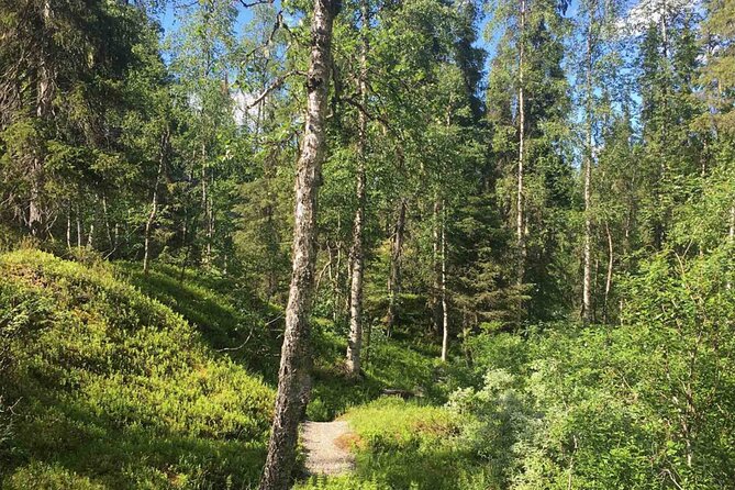 Rovaniemi Korouoma Canyon Hike and Barbecue Experience - Korouoma Canyon: What Makes This Hike Special