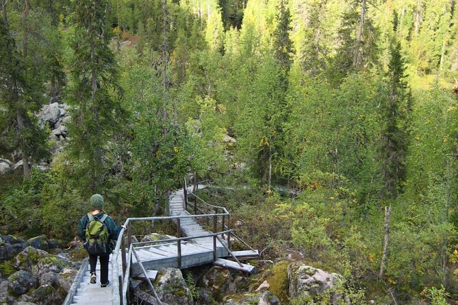 Rovaniemi Korouoma Canyon Hike and Barbecue Experience - The 4–6 km Hike: What Moderate Fitness Really Means