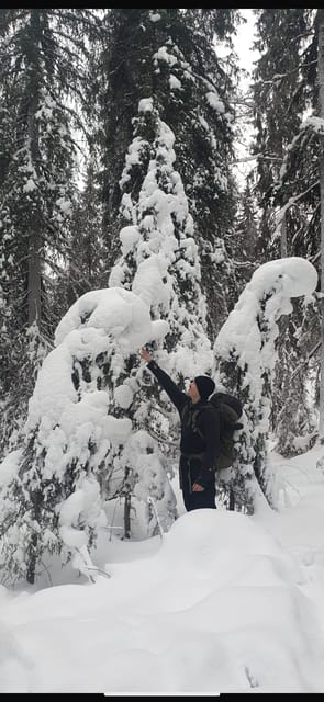 Rovaniemi: Korouoma Frozen Waterfalls Hike & Hot BBQ Lunch - Key things that make this tour worth your time