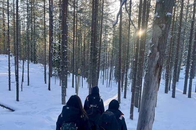 Rovaniemi: Korouoma Frozen Waterfalls Hike with Hot BBQ Lunch - Your guide experience: why names like Mirco keep popping up