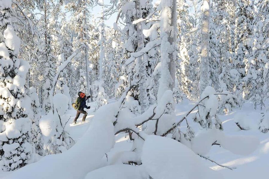 Rovaniemi: Korouoma Wilderness Café’s Icefall Tour and Lunch - Korouoma From Rovaniemi: The Drive Sets the Mood